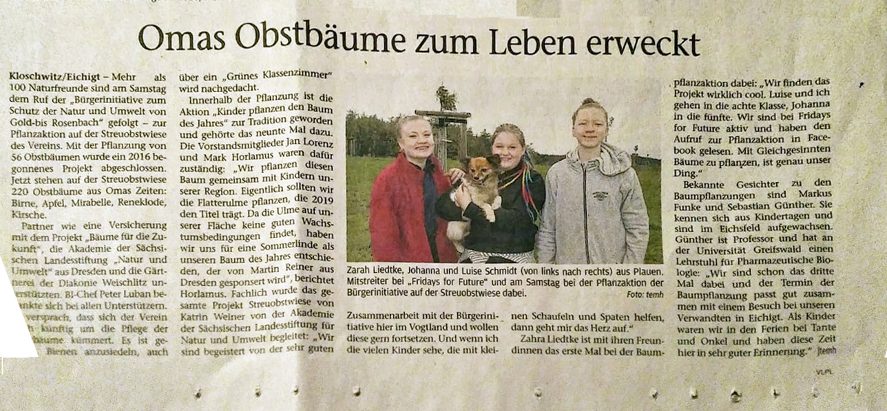 2019_11_Freie Presse_Pflanzaktion