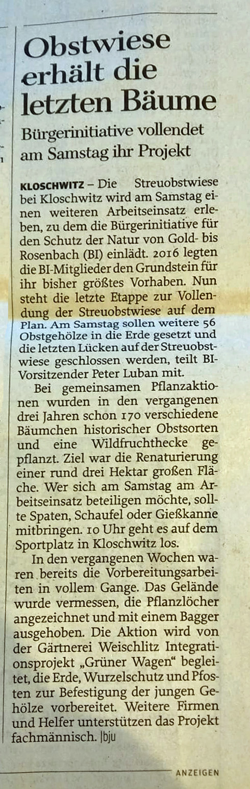 2019_11_Pflanzaktion